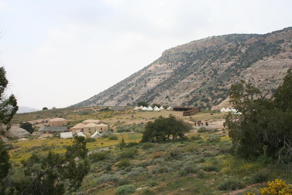Rummana Campsite Dana Kültér fotó